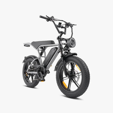E6 X Fat Electric Bike, Moped Style, Full Suspension